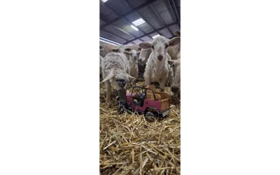 Randonnee-gourmande-en-quadricycle-electrique-avec-E-Pottok-et-decouverte-de-la-Ferme-Ametzalde-8211-18-03-2026-8211-Uhart-Cize_3486916