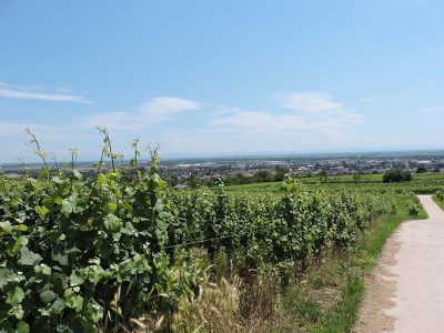 Randonnee-la-Grande-Boucle-8211-circuit-de-Bacchus_23079