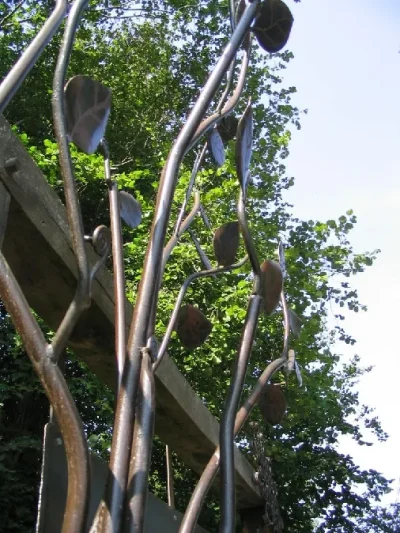 Randonnee-le-bois-de-Murols-8211-Mur-de-Barrez_2228965