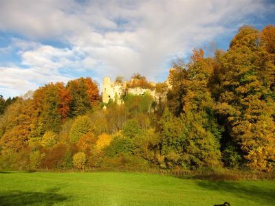 Randonnee-pedestre-Oberlarg-le-chateau-du-Morimont_23356
