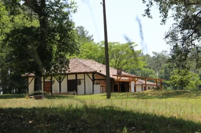 Randonnee-pedestre-a-la-decouverte-de-la-diversite-de-la-foret-de-Leon-et-de-son-habitat-specifique-8211-21-09-2025-8211-Leon_3015806