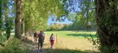 Randonnee-pedestre-du-Printemps-8211-30-04-2026-8211-La-Sauvetat-du-Dropt_3467253