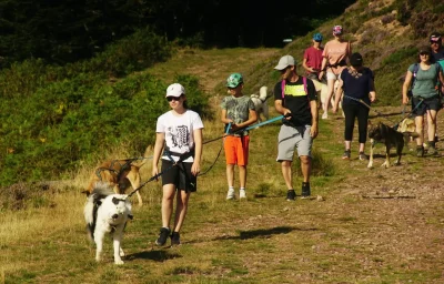 Randonner-avec-un-chien-nordique-a-La-Pierre-Saint-Martin-8211-01-08-2025-8211-Arette_2471621