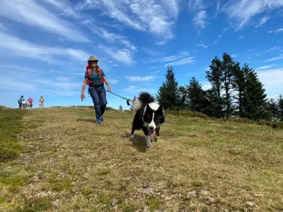 Randonner-avec-un-chien-nordique-a-La-Pierre-Saint-Martin-8211-06-08-2026-8211-Arette_3660106