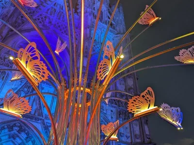 Rayonances-8211-Parcours-lumineux-8211-03-07-2026-8211-Toul_3704179