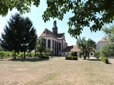 Recherche-des-mots-magiques-8211-Altorf-8211-Altorf_2817792