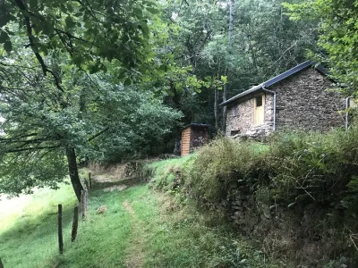 Refuge-dans-les-bois-8211-Viala-du-Tarn_2245716