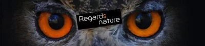 Regards-Nature_443512