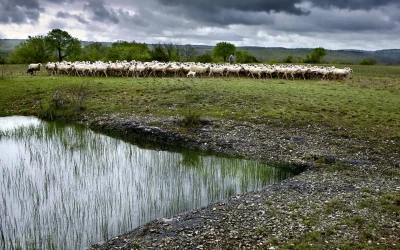 Regards-croises-sur-le-paysage-et-la-biodiversite-du-Mont-Saint-Cyr-8211-02-10-2026-8211-Cahors_3731802