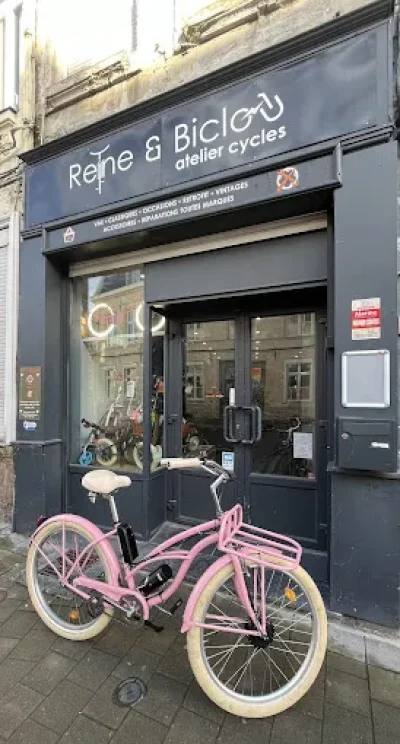 Reine-et-Biclou-8211-Accueil-velo-8211-Valenciennes_3522718
