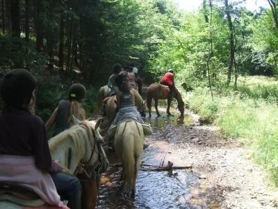 Relais-Equestre-des-Recolets_704626