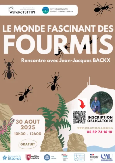 Rencontre-avec-Jean-Jacques-BACKX-Le-monde-fascinant-des-fourmis-8211-30-08-2025-8211-Hendaye_3033804