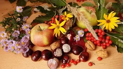 Rencontre-de-la-chataigne-et-des-Saveurs-8211-18-10-2025-8211-Villefranche-du-Perigord_3166107