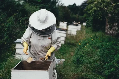 Rencontre-quotLes-abeilles-avec-Christian-Robin-apiculteurquot-8211-22-05-2025-8211-Ouzouer-sur-Loire_2416148