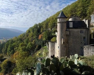 Rendez-Vous-aux-Jardins-quotJardin-du-Chateau-de-Larroque-Toiracquot-8211-Larroque-Toirac_2929569