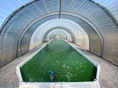 Rendez-vous-a-la-ferme-Spiruline-d039Aquitaine-8211-04-09-2025-8211-Argagnon_2983426