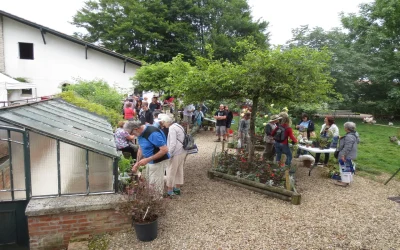 Rendez-vous-aux-jardins-8211-08-06-2025-8211-Cambo-les-Bains_2363731