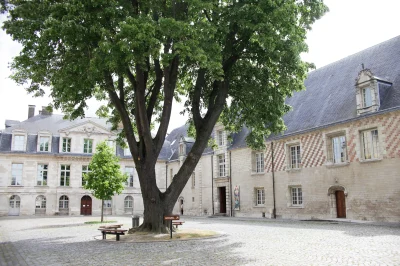 Rendez-vous-aux-jardins-8211-Musee-d039Art-moderne-8211-06-06-2025-8211-Troyes_2672802