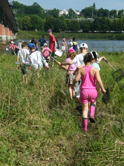 Rendez-vous-avec-l039Observatoire-Loire-8211-Stage-nature-8211-La-Chaussee-Saint-Victor_3645505