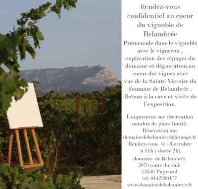 Rendez-vous-confidentiel-au-coeur-du-vignoble-de-Belambree-8211-18-10-2025-8211-Aix-en-Provence_3140001