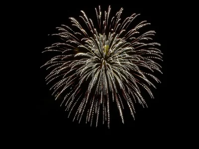 Repas-concert-et-feu-d039artifice-8211-26-07-2025-8211-Dammarie-en-Puisaye_2147316