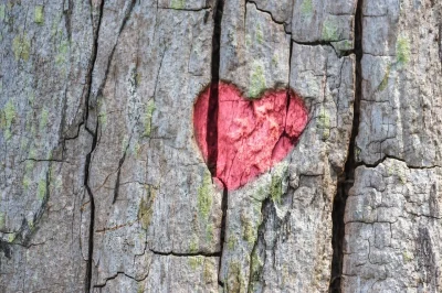 Repas-de-la-Saint-Valentin-a-l039Evidence-8211-14-02-2026-8211-Cazals_3416832