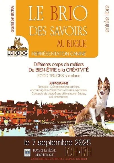 Representation-canine-8211-le-brio-des-savoirs-8211-07-09-2025-8211-Le-Bugue_3020159