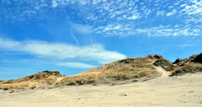 Reserve-Naturelle-Nationale-Dune-Marchand_600824