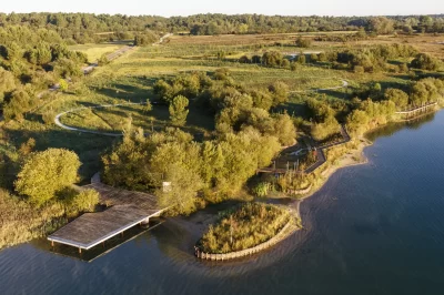 Reserve-Naturelle-Nationale-d039Arjuzanx_600339