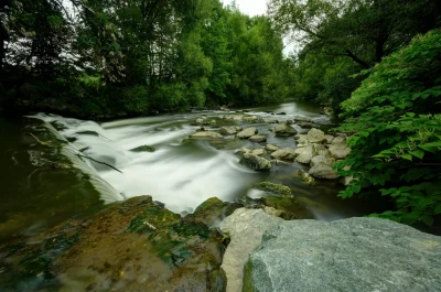 Reserve-naturelle-regionale-de-la-basse-savoureuse-8211-Nommay_1588134