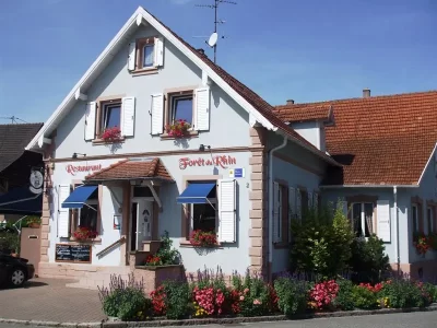 Restaurant-Foret-du-Rhin_535646