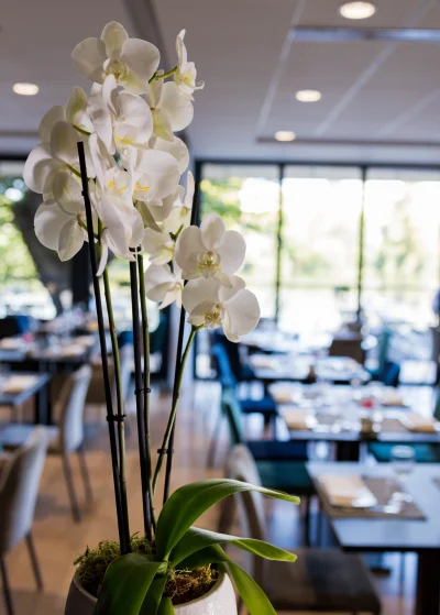 Restaurant-La-Chartreuse-8211-Cahors_1762829