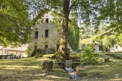 Restaurant-Le-Moulin-de-Chevillou-8211-Saint-Gence_3512173
