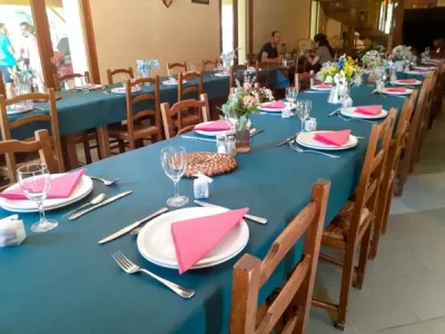 Restaurant-Saint-Hubert-8211-Montrozier_3512950