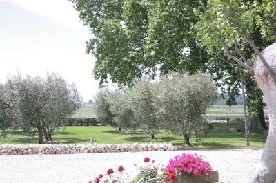 Romarin-8211-Fontvieille_2581611