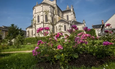Roseraie-Jean-Dupont_494174