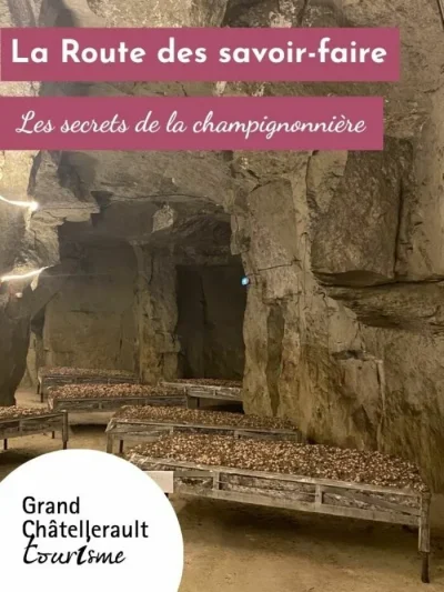 Route-des-Savoir-faire-les-secrets-de-la-champignonniere-8211-18-10-2025-8211-Scorbe-Clairvaux_3168536