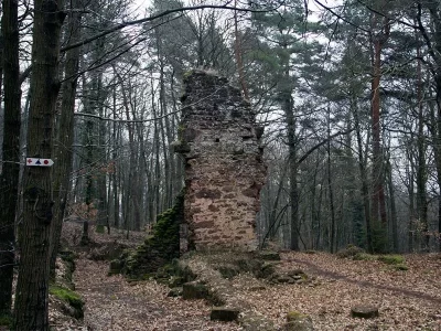 Ruine-de-la-Frauenkirch_621749