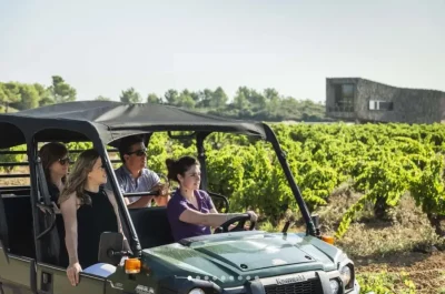 SAFARI-DANS-LES-VIGNES-8211-Assignan_2630046