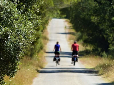 SAINT-ETIENNE-DU-GRES-8211-Le-tour-des-Alpilles-a-velo-en-3-jours-8211-Saint-Etienne-du-Gres_2373025-10
