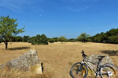 SAINT-REMY-DE-PROVENCE-8211-La-Routo-per-draio-e-per-camin-a-VTT-8211-Saint-Remy-de-Provence_2373014-1