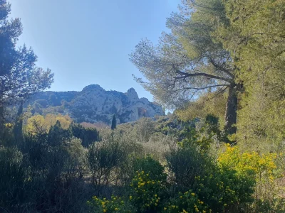 SAINT-REMY-DE-PROVENCE-8211-Valample-et-les-Cascades-en-VTT-8211-Saint-Remy-de-Provence_1554470-36