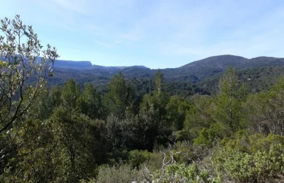 SAINT-ZACHARIE-8211-La-foret-du-Defens-par-le-pas-de-Peyruis-8211-Saint-Zacharie_2804144