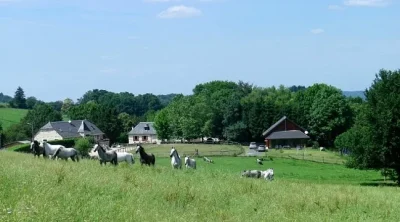SARL-Ferme-Equestre-du-Mialaret-8211-Gite-de-Groupe-12-a-20-personnes-8211-Camps-Saint-Mathurin-Leobazel_2485690
