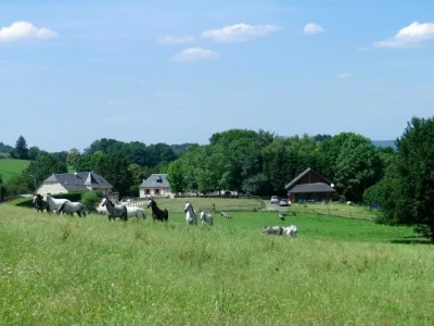 SARL-Ferme-Equestre-du-Mialaret-8211-Gite-de-Sejour-Equestre-22-personnes-8211-Camps-Saint-Mathurin-Leobazel_2465753