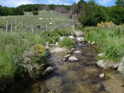 SENTIER-DE-BAYARDET-8211-Pont-de-Montvert-8211-Sud-Mont-Lozere_20201