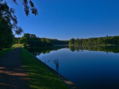 SENTIER-DE-L039ETANG-DES-ESSARTS_1160
