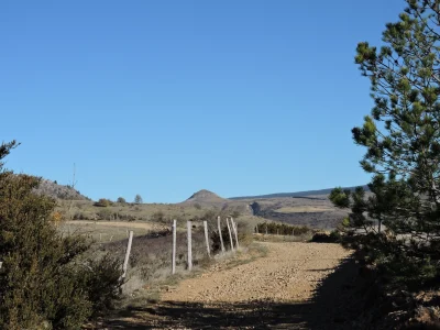 SENTIER-DE-PUECHERAL-SUR-LA-DRAILLE-DE-LA-MARGERIDE-8211-Bedoues-Cocures_3434375