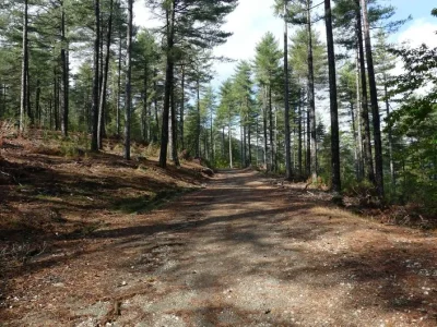 SENTIER-DES-ROCS-DE-GALTA-8211-Saint-Germain-de-Calberte_20116