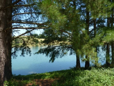 SERRES-CASTET-tour-du-lac-8211-Serres-Castet_1026469